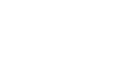 Pofl Cleaner